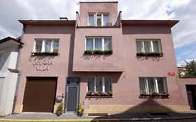 Libušina Villa